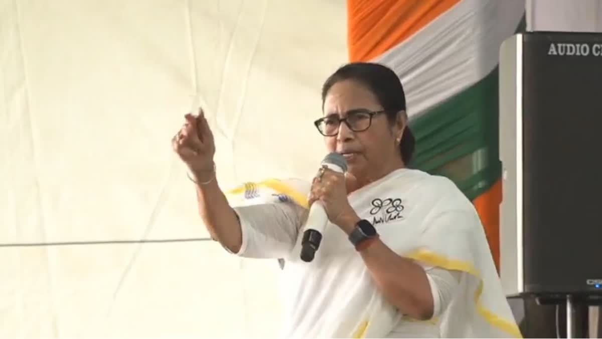 CM Mamata Banerjee