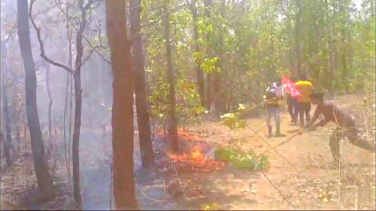 Fire broke out in forest of Bagodar in Giridih