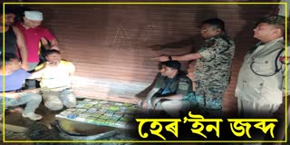 DRUGS SEIZED IN CACHAR