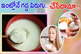 hick Curd At Home