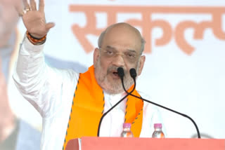 After First Two Phases of LS Polls, Modi Is Ahead: Amit Shah in Andhra Pradesh