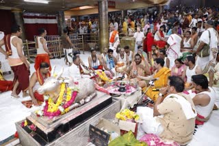 Mahakal Mandir 6 Day Rudrabhishek