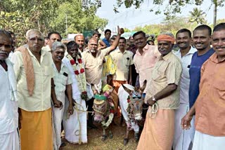 In Tamil Nadu, a female and male donkey were married for rain