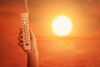 The Department of Health and Public Welfare of Tamil Nadu has directed to set up special treatment wards in all government hospitals to treat heat stroke victims.