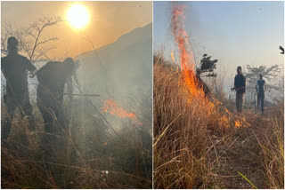 forests fire in mussoorie