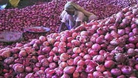 Govt lifts ban on onion exports with price rider