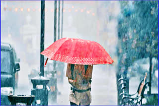 Haryana Weather Report
