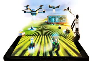 NIRCA Educating Farmers on Artificial Intelligence in Agriculture