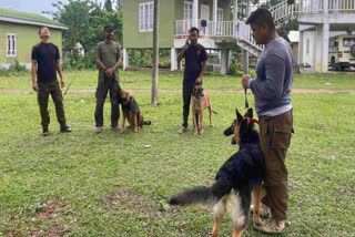 German Shepherd Dog training in Kaziranga National Park