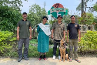 Meet New Super Sniffer Dog 'Sophie' To Chase Poachers Away In Assam