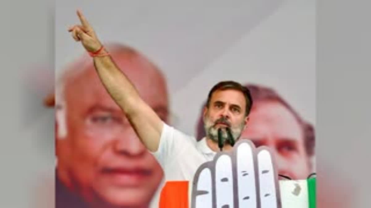 RAHUL GANDHI  LOK SABHA ELECTION RESULT 2024  രാഹുല്‍ ഗാന്ധി  INDIA ALLIANCE BJP