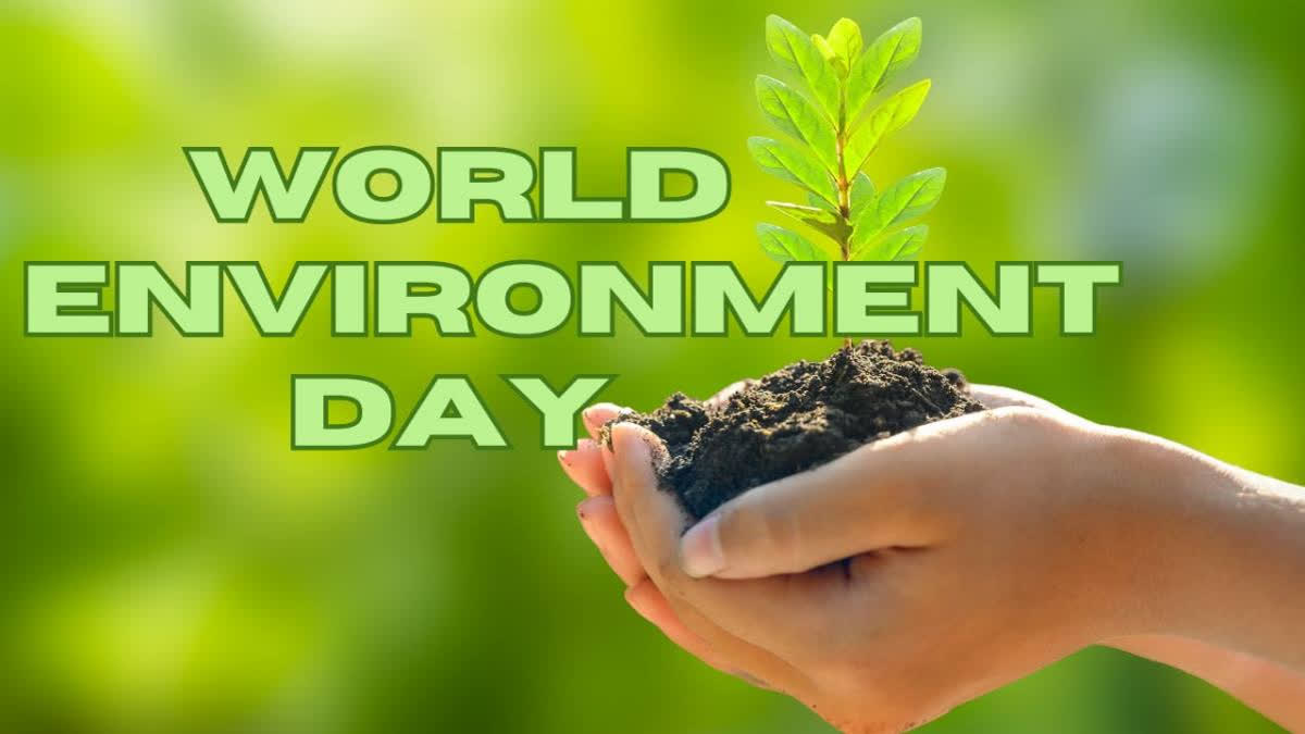 World Environment Day: All You Need to Know, Theme for 2024, Why It Is ...