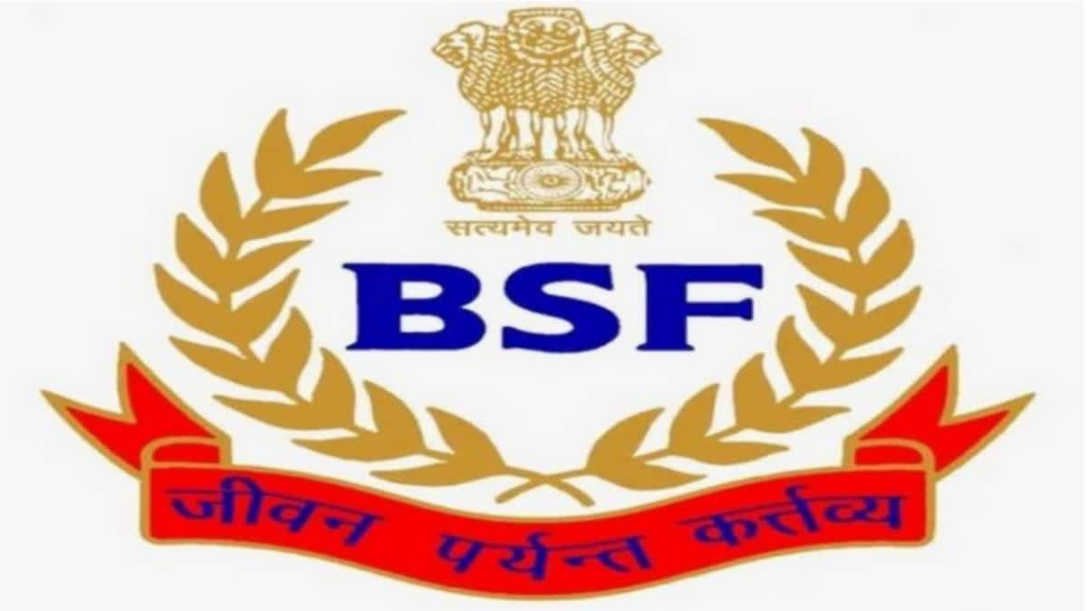 bsf-notification-for-head-constable-and-sub-inspector-post