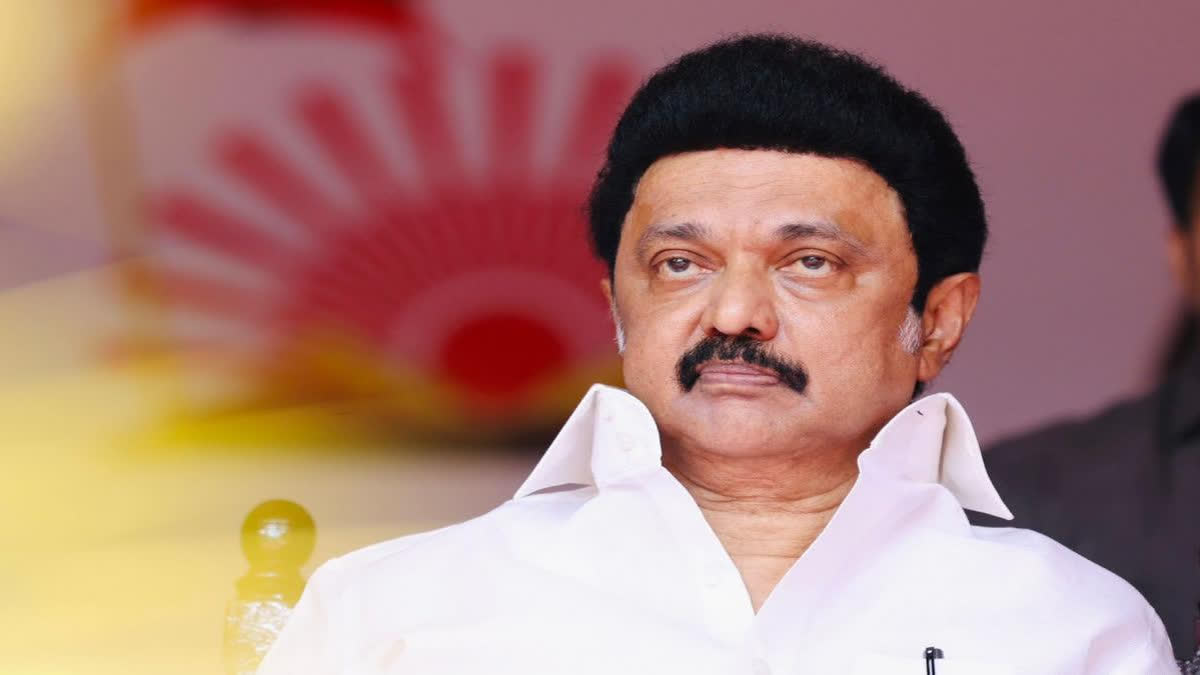 '40 out of 40' Win Will Help Lead the Nation: DMK Chief Stalin