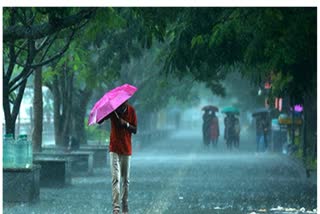 YELLOW ALERT DISTRICTS KERALA  KERALA RAINS  കേരളത്തിൽ ശക്‌തമായ മഴ തുടരും  മഴ മുന്നറിയിപ്പുകൾ