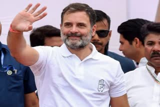 Lok Sabha Election Results 2024 Rahul Gandhi