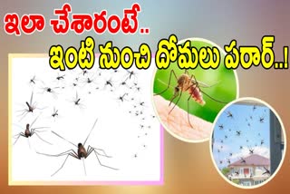 Home Remedies Get Rid Of Mosquitoes