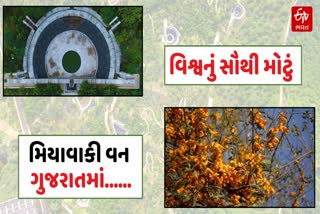 કચ્છમાં નિર્માણ પામેલ વિશ્વનું સૌથી વિશાળ મિયાવાકી સ્મૃતિવન