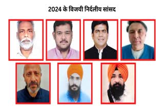 Winning Independent MPs of 2024