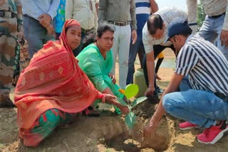 World Environment Day 2024