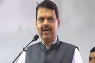 Devendra Fadnavis On Election Result