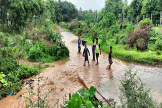 Children's enjoying in rain Image