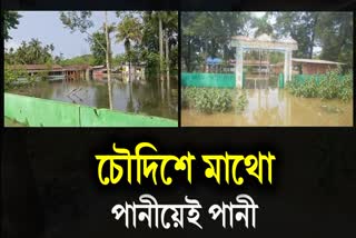 ARTIFICIAL FLOOD IN GOALPARA