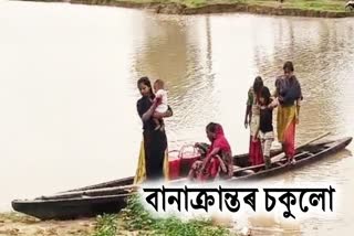 Flood update in Assam