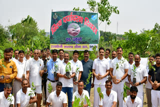 SSB started campaign to planting saplings