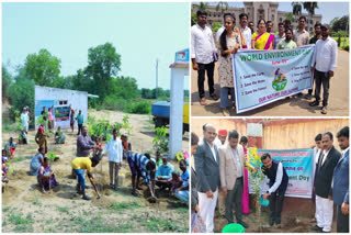 Awareness on World Environment Day in Telangana