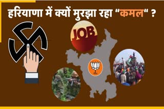Seven reasons for BJP loss of 5 seats in Haryana PM Narendra Modi Rahul Gandhi Bjp Congress Lok Sabha Election results 2024