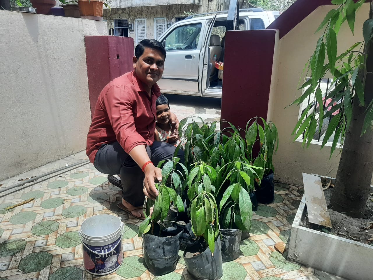 MANGO SEEDS USE FOR ENVIRONMENT