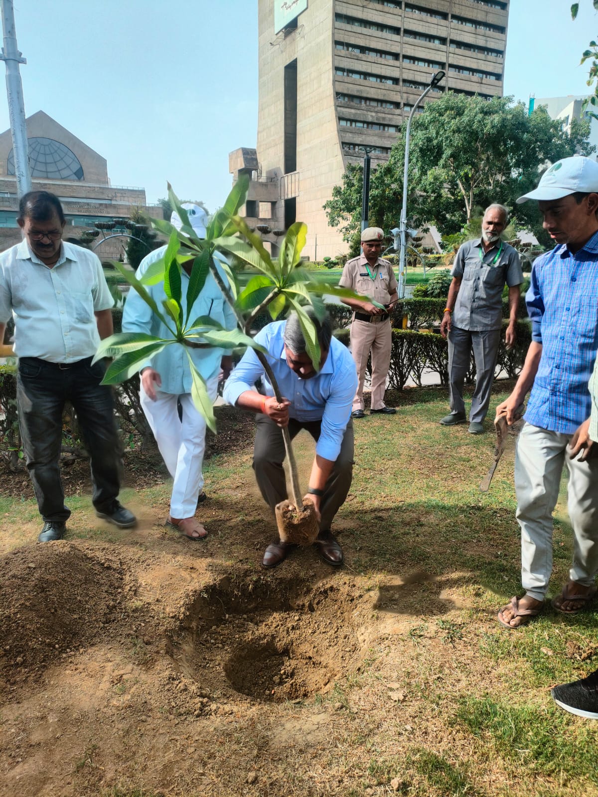 नई दिल्ली नगरपालिका परिषद के उपाध्यक्ष सतीश उपाध्याय ने पालिका केंद्र, नई दिल्ली में 'चंपा' का एक पौधा लगाया