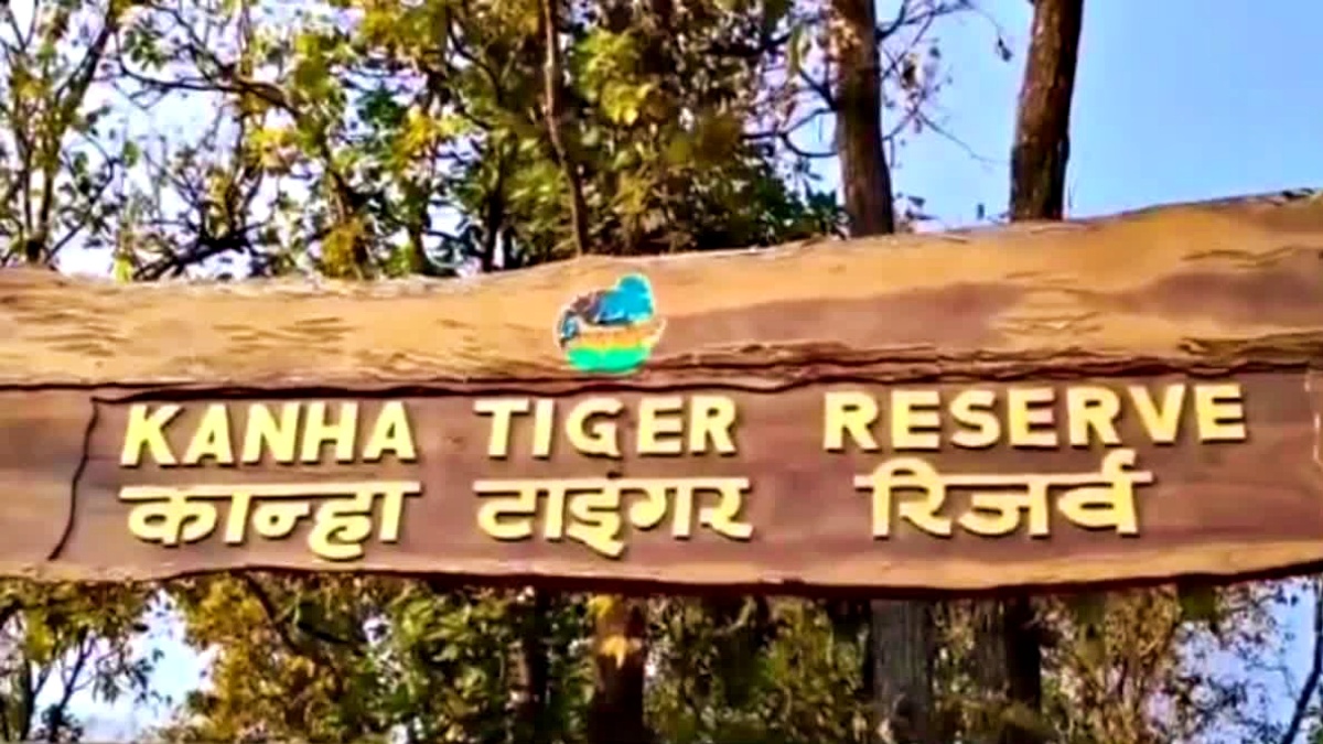 kanha national park news