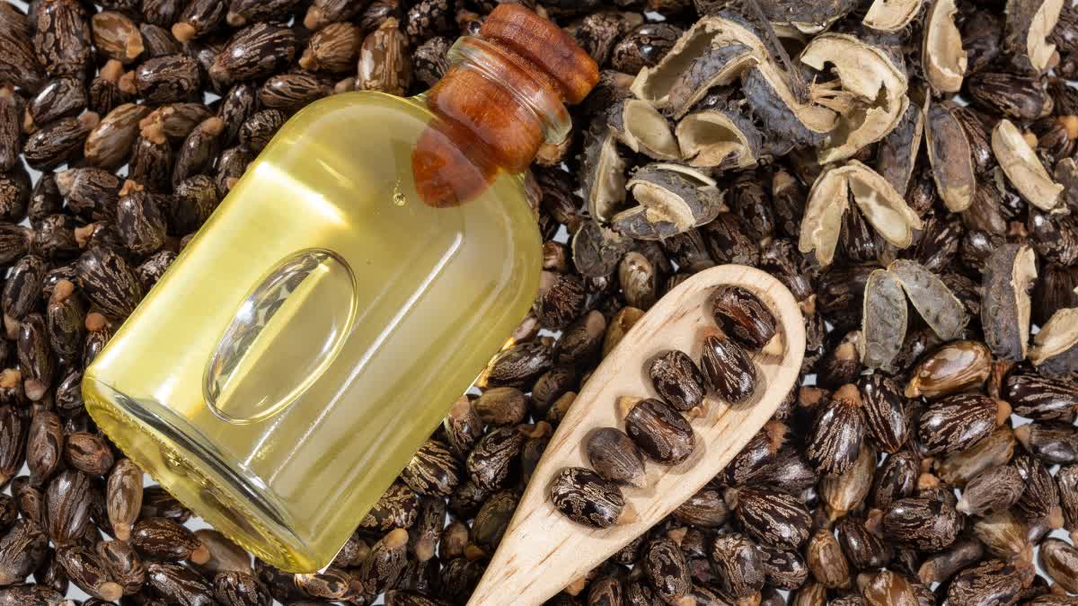 CASTOR OIL BENEFITS BENEFITS OF CASTOR OIL ಹರಳೆಣ್ಣೆ ಪ್ರಯೋಜನಗಳು CASTOR OIL