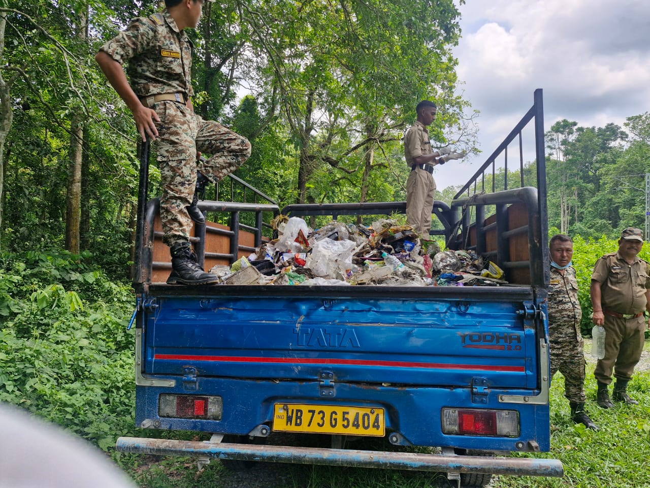 cleaning campaign on forest area