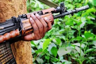 Odisha: 3.8 Tonnes Of Total 5 Tonnes Of Explosives Looted By Maoists Recovered, Claims DGP