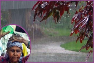 Haryana Weather Alert