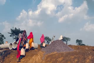 WORLD ENVIRONMENT DAY 2025