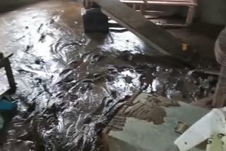assam flood 2025