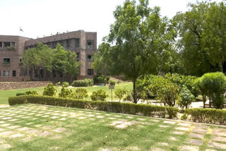 Trees planted in campus