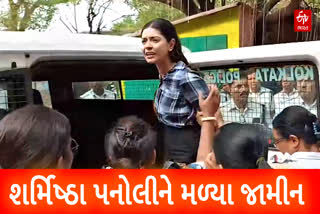 સોશિયલ મીડિયા ઈન્ફ્લુએન્સર શર્મિષ્ઠા પનોલીને મળ્યા જામીન