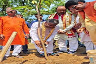 BJP started Ek Ped Maa Ke Naam campaign in Jharkhand on World Environment Day 2025