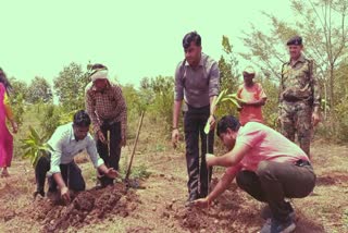 CHHATARPUR FRUIT FOREST
