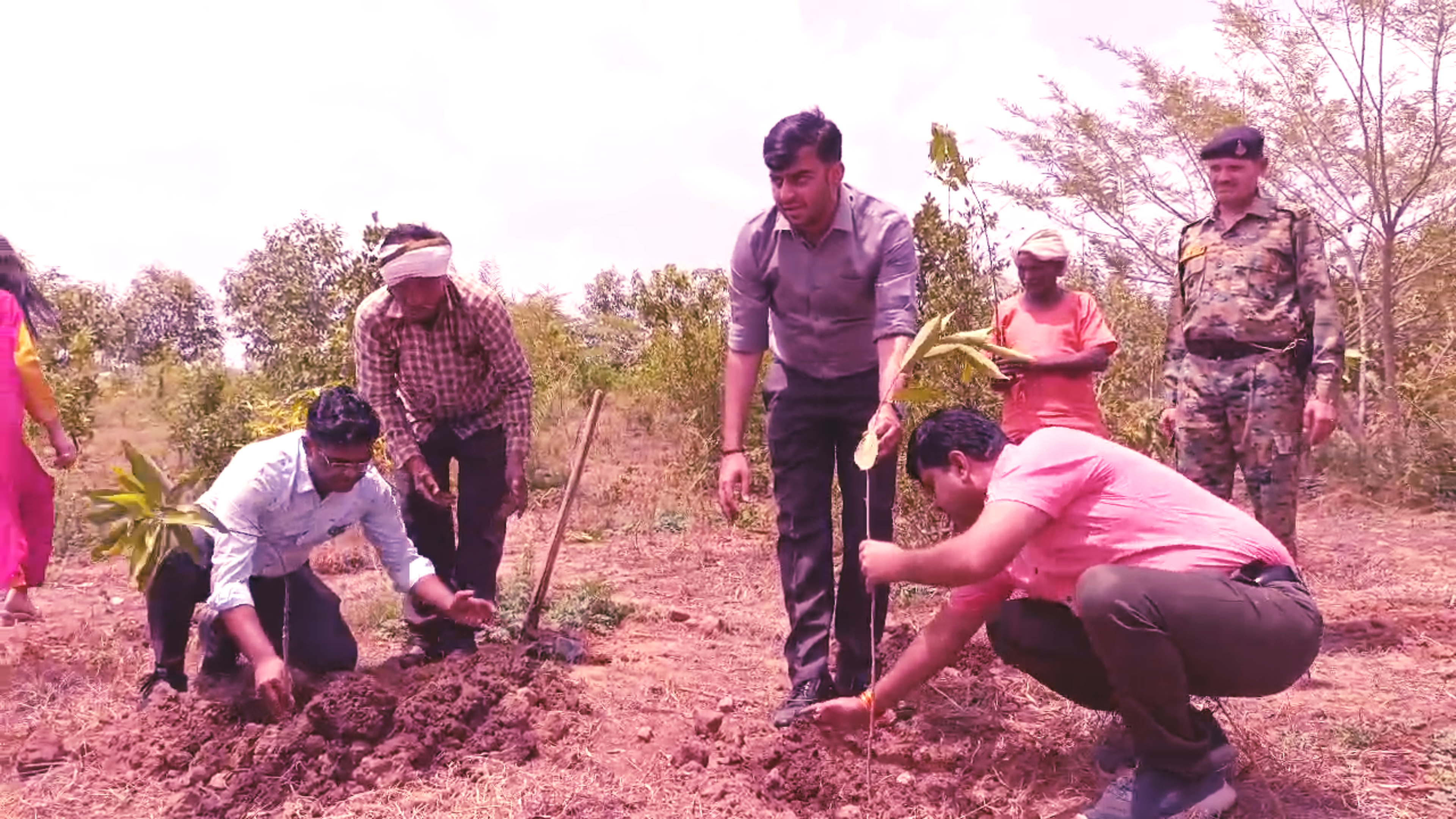 encroachment free plantation