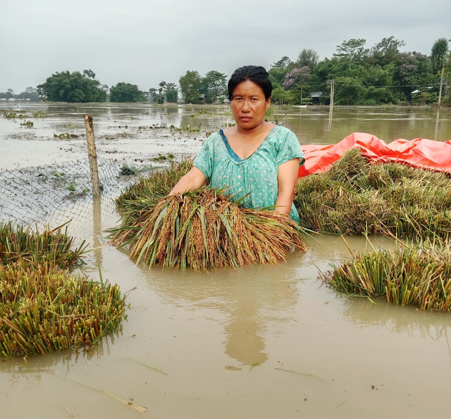ASSAM FLOOD 2025