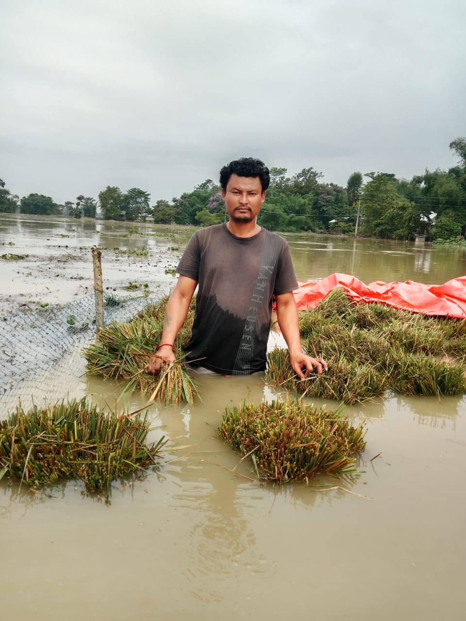 ASSAM FLOOD 2025