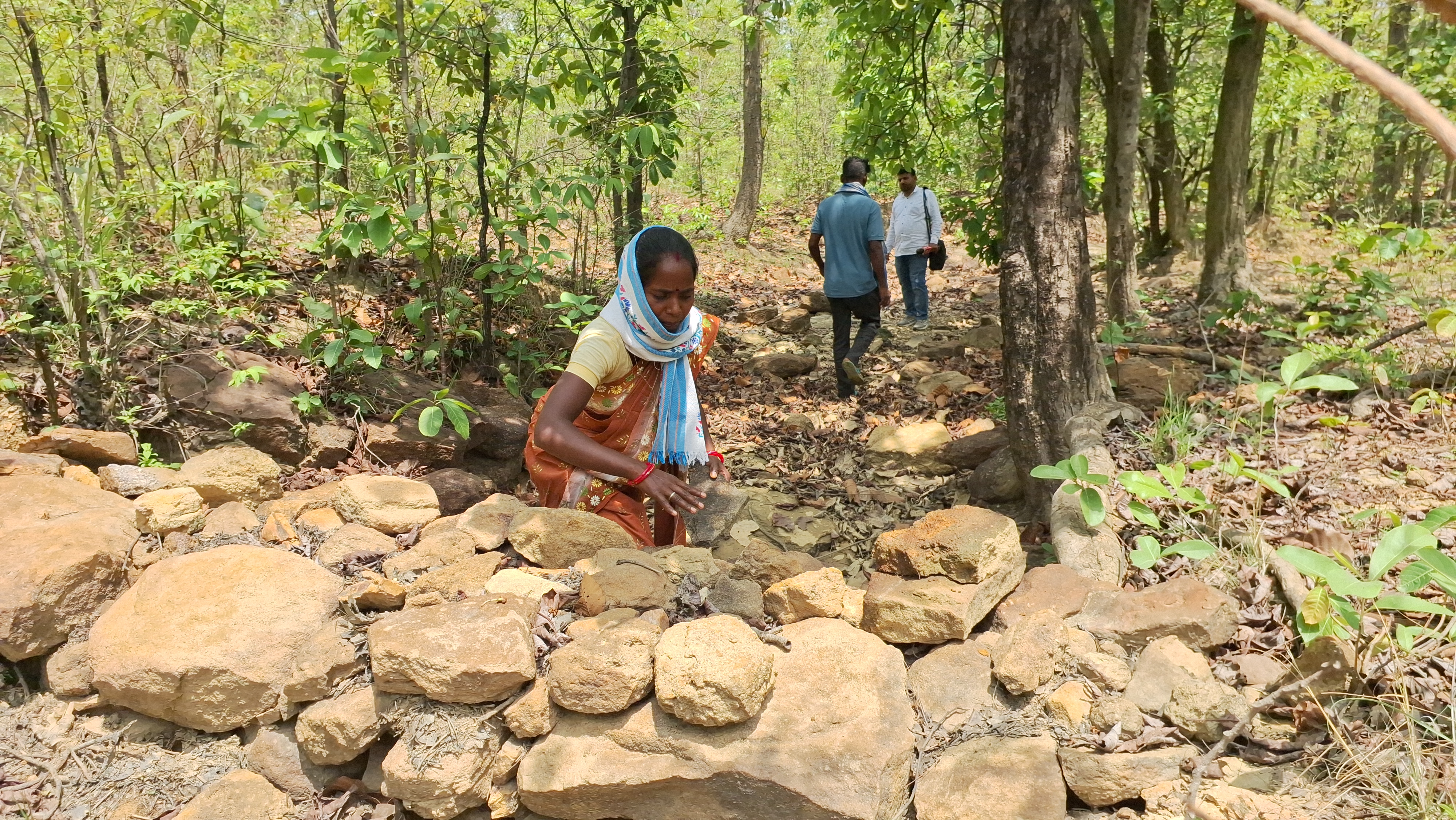 Jharkhand’s Green Saviour Mary Surin Who Quenches A Forest’s Thirst Creating Patthar Dam