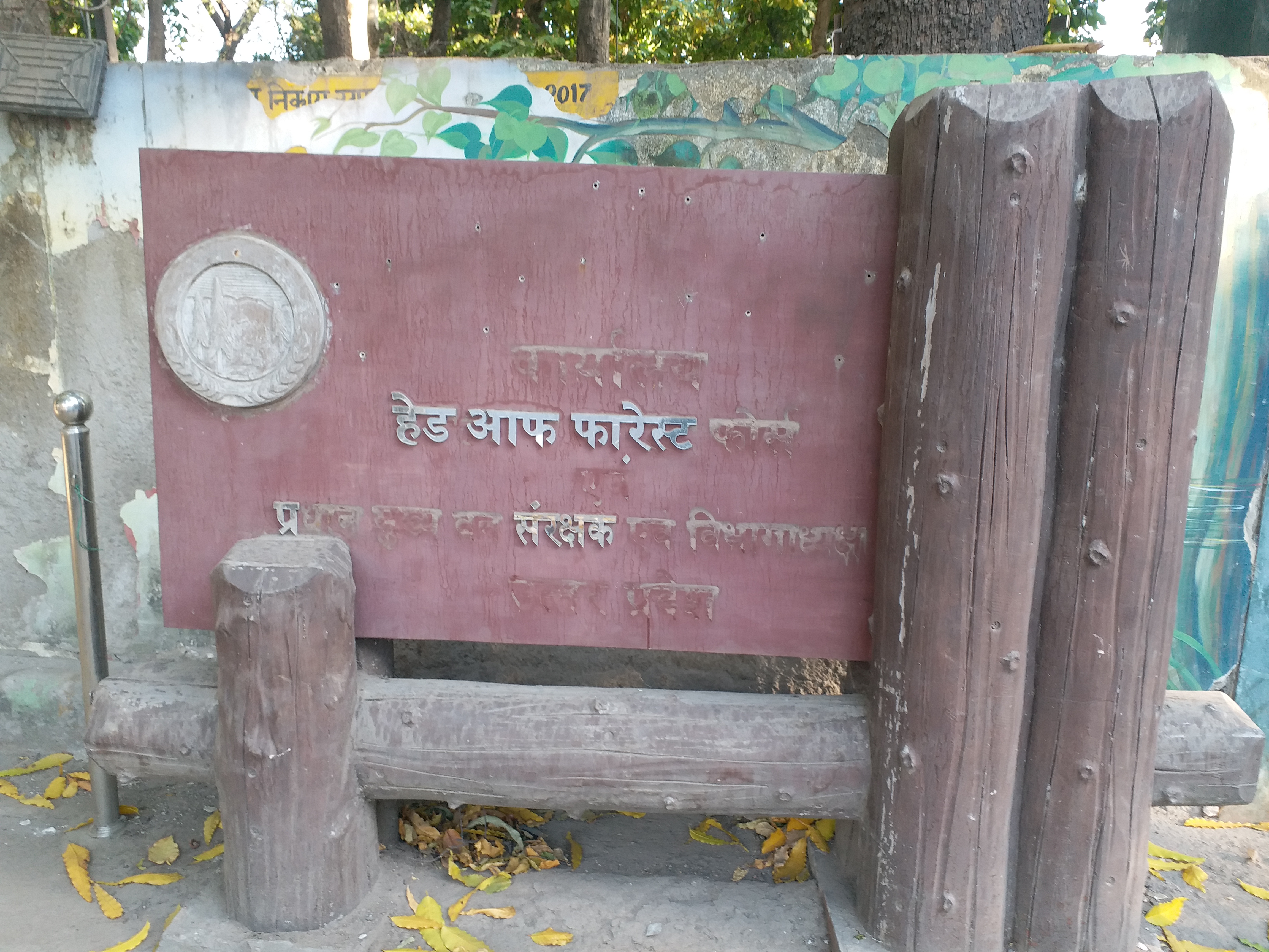 Photo Credit- ETV Bharat