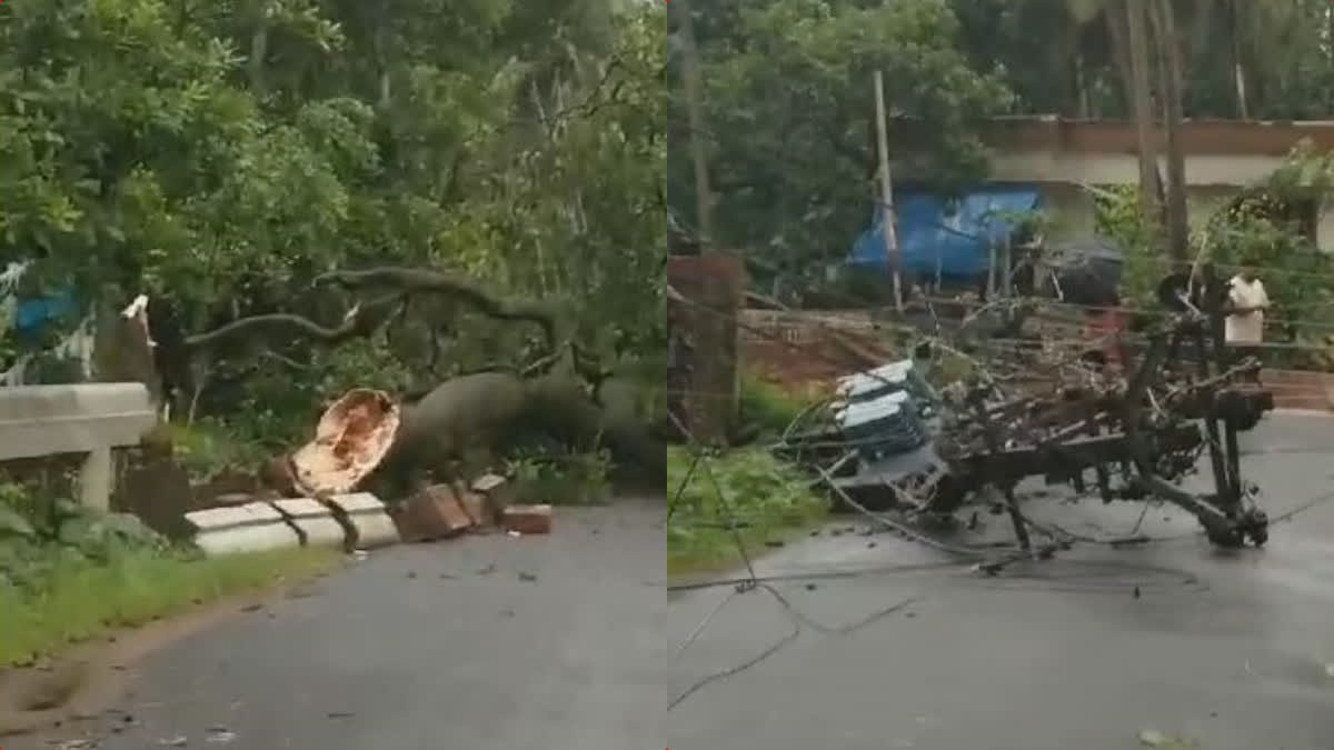 rain update  Kasargod Rain  kerala rain  kerala rain update  Kasargod  rain  kerala  kerala latest news  കാസർകോട്  കാസര്‍കോട് മഴ  കേരളം  മഴ  കാസർകോട് വ്യാപക നാശനഷ്‌ടം